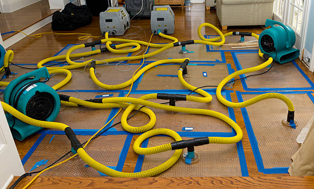 Professional Crawl Space Water Removal technician working in Argusville, ND